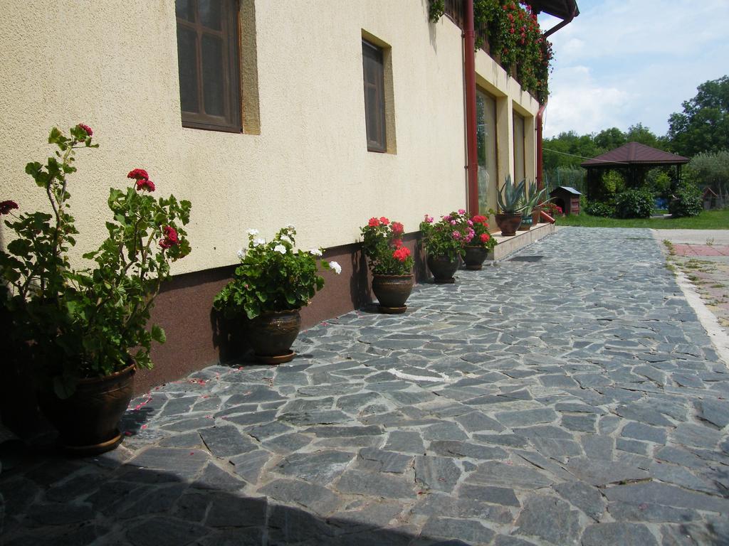 Pensiunea Casa Filoxenia ホレズ エクステリア 写真
