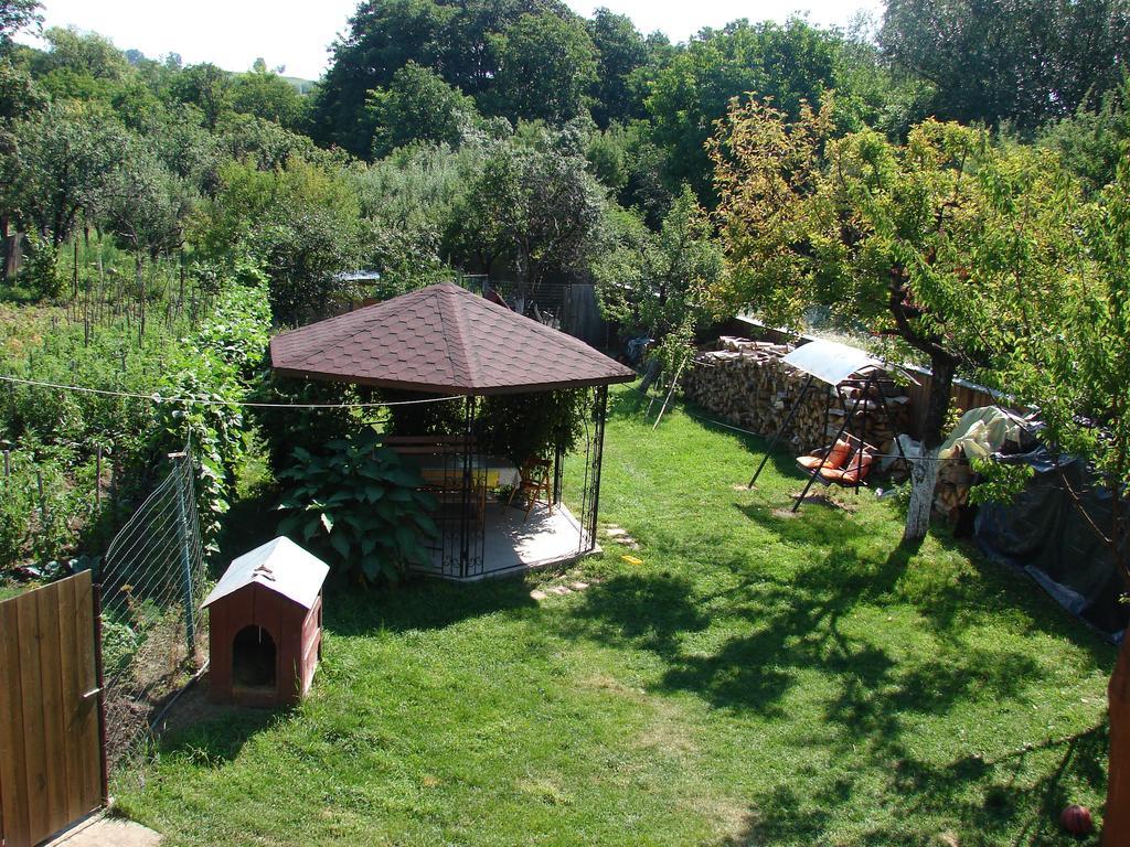Pensiunea Casa Filoxenia ホレズ エクステリア 写真