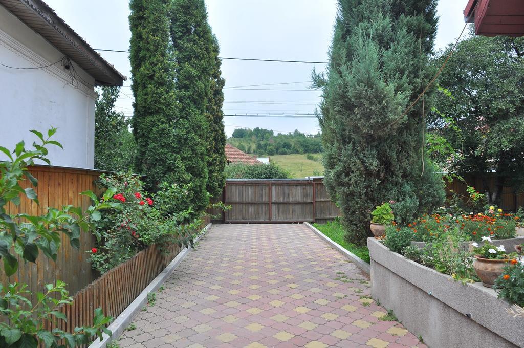 Pensiunea Casa Filoxenia ホレズ エクステリア 写真